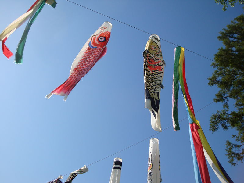 File:02688windFish.jpg