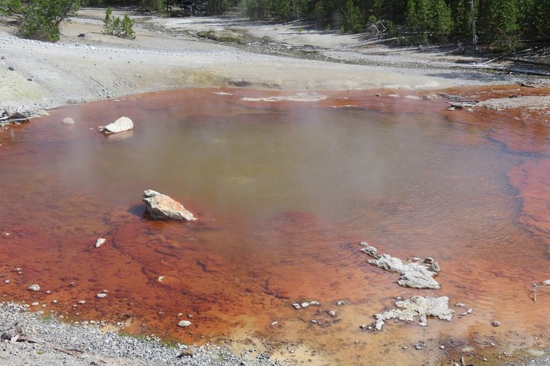 File:RickYellowStone2012july 5879.JPG