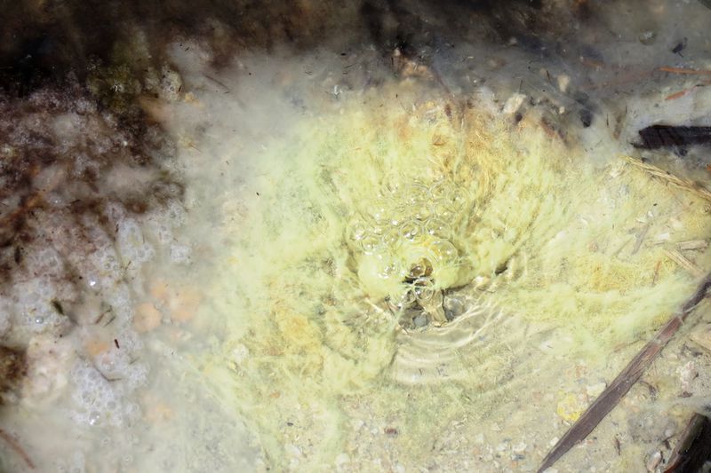 File:RickYellowStone2012july 5774.JPG