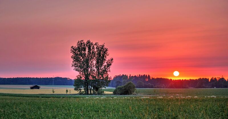 File:Vecher48140304231 fc60ba1525 b.jpg