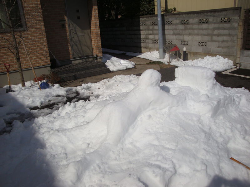 File:02194snowGirlComput.jpg
