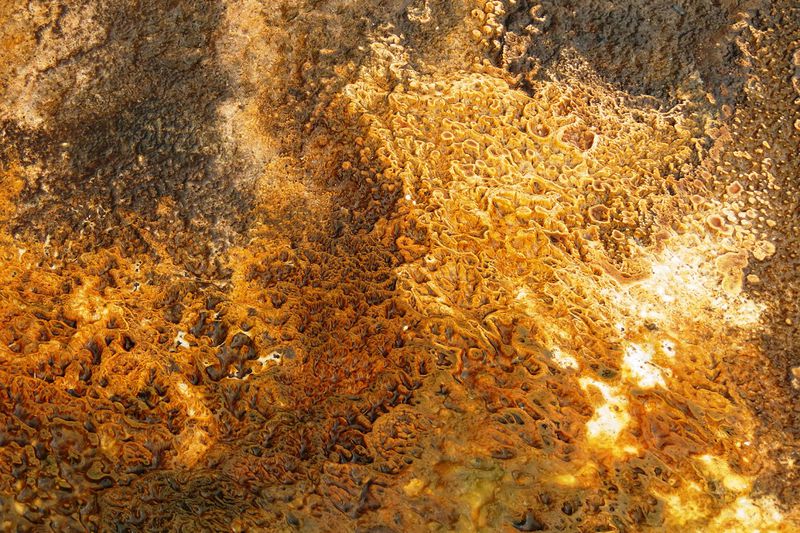 File:RickYellowStone2012july 4305.JPG