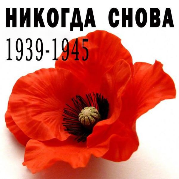 File:1939-1945neverAgain.jpg