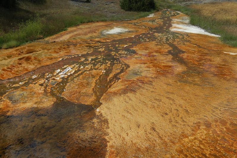 File:RickYellowStone2012july 5676.JPG