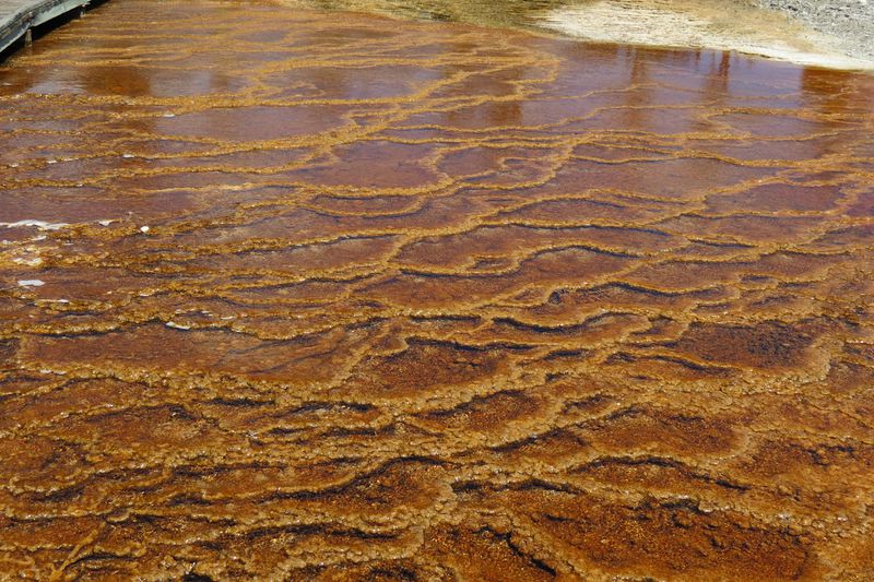 File:RickYellowStone2012july 5540.JPG