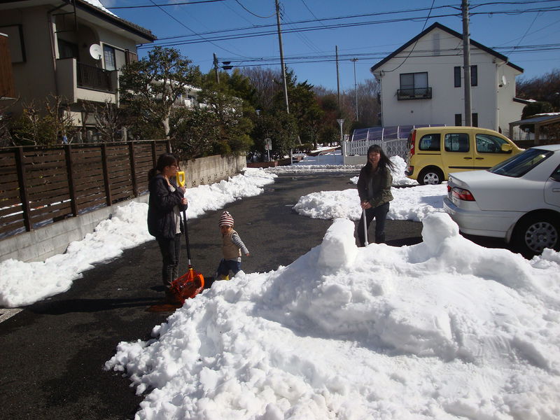 File:02198snowGirlNeighbours.JPG