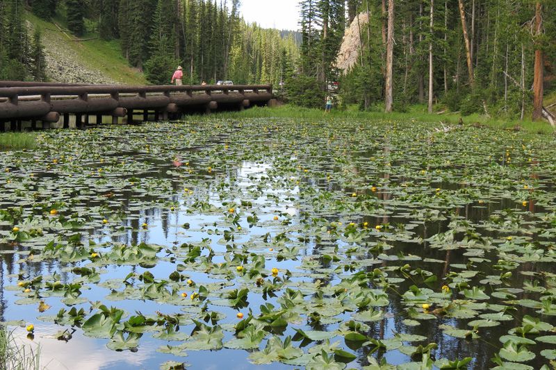 File:RickYellowStone2012july 4572.JPG