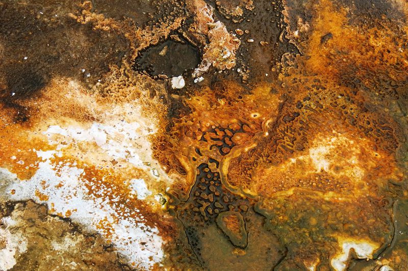 File:RickYellowStone2012july 4304.JPG