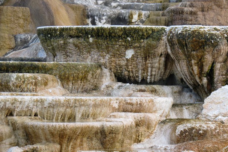 File:RickYellowStone2012july 6035.JPG