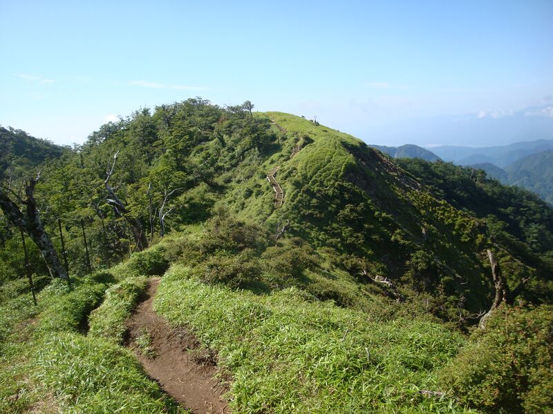 File:05030trail.jpg