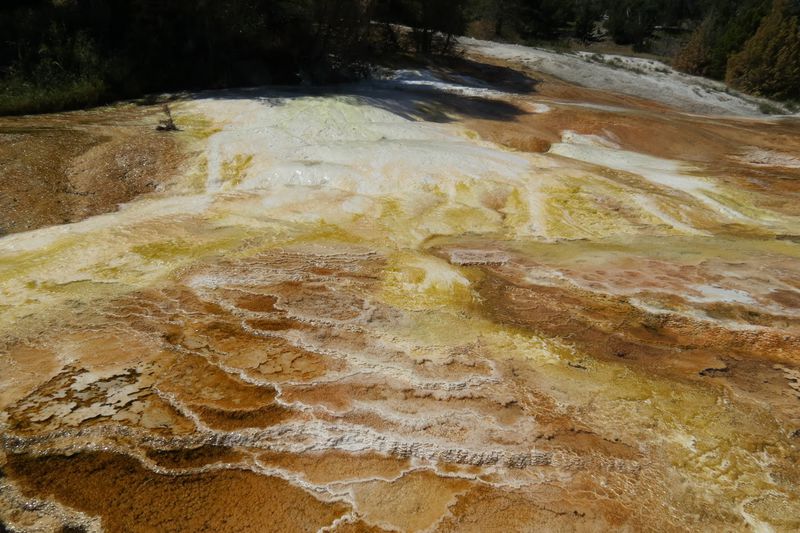 File:RickYellowStone2012july 5582.JPG