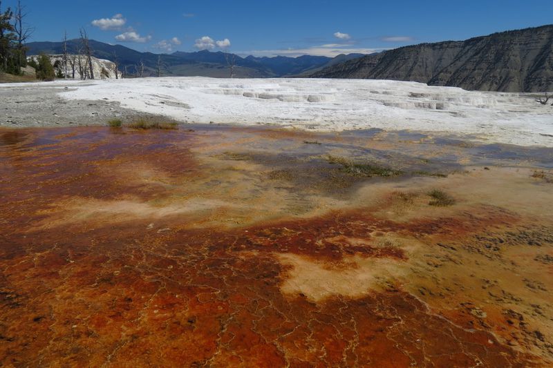 File:RickYellowStone2012july 5543.JPG