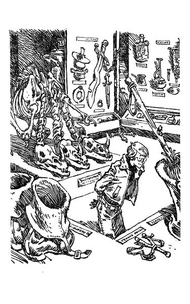 File:Museum (new).jpg